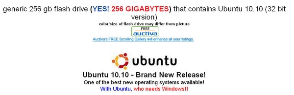 2011 Ubuntu live USB 256